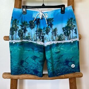Men’s Hollister Board Shorts